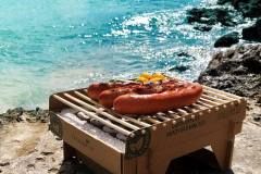 casus-grill-grill-ecological-842352100393_63