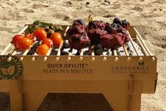 casus-grill-grill-ecological-842352100393_69