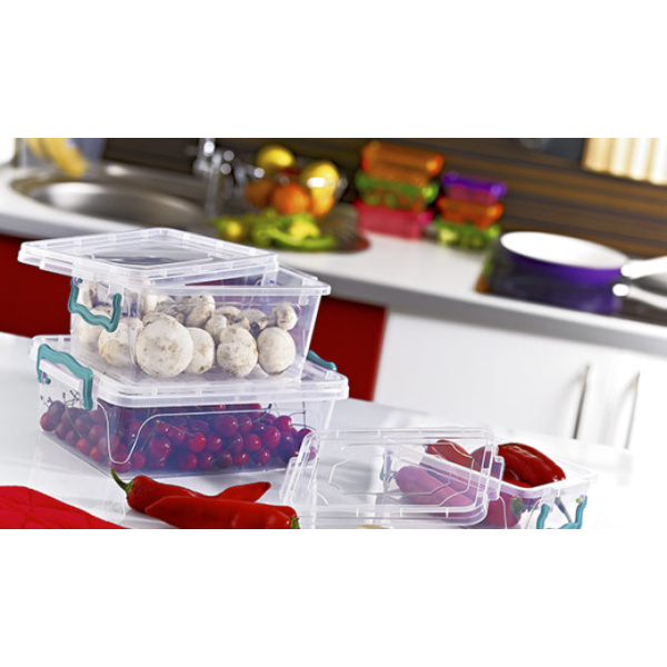 0L RECTANGLE MULTI BOX with lid - EAN: 8694064004108 - Home>Kitchen and dining room>Food storage>Food containers