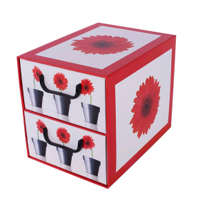 Pudełko kartonowe 2 szuflady pionowe DONICZKI GERBERY - EAN: 35.5 - Dom>Przechowywanie>Pudełka kartonowe>Z szufladami