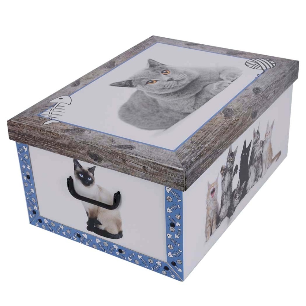 Cardboard box MAXI CATS GRAY BLUE FRAME - EAN: 8033695870377 - Home>Storage>Carton boxes>With lid