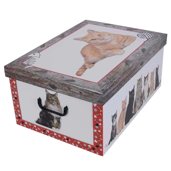 Cardboard box MAXI RED CATTENS RED FRAME - EAN: 8033695870155 - ホーム>保管>段ボール箱>蓋付き
