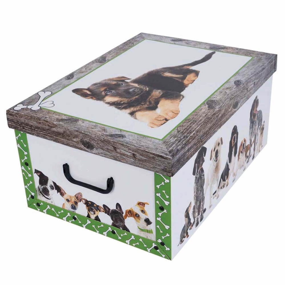 Cutie de carton MAXI DOG SHEPHERD GREEN FRAME - EAN: 8033695870360 - Home>Depozitare>Cutii din carton>Cu capac